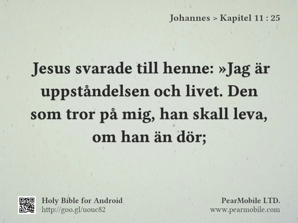 Johannes, Kapitel 11:25